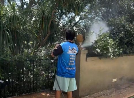 WhatsApp Image 2025-10-27 at 8.14.47 AM